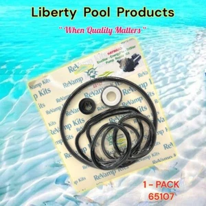 ECO-Star Energyflo Pump Repair Kit 65080 LPP Replacement For Hayward GO-KIT80 - Picture 1 of 5