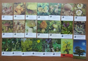Latvia - 1982-1995 "Nature Protection" Pocket Calendars - Lot 2 - Picture 1 of 1