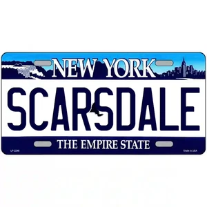 Scarsdale New York Blue Metal Sign - Imagen 1 de 1