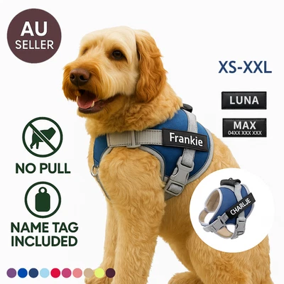 Personalised No-Pull Dog Harness Reflective Vest with Custom Name Patch XS-XXL - image 1 of 4