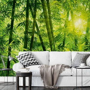 Green Bamboo Photo Wallpaper Forest Nature 384x260 cm Bedroom Living Wall Mural - Picture 1 of 5