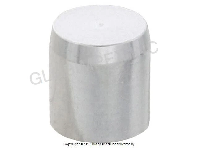 Enchufe de tubo de aceite del árbol de levas para PORSCHE (1970-1994) (1 PC) GENUINO + 1 AÑO DE GARANTÍA Foto 1 de 1