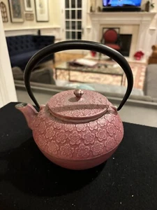 Pink Cast Iron Teapot With Strainer - Picture 1 of 7