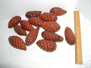13 decorative pinecones vintage celluloid ? - Picture 1 of 2