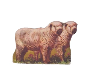 Whitman Educational Graphic Toy Shropshire Ram & Ewe VTG Die Cut Litho Cardbrd - Picture 1 of 2