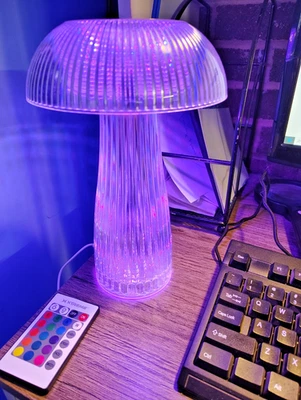 Lâmpada LED cristal controle de toque acrílico transparente multicolor 11" vídeo recarregável - Imagem 1 de 4