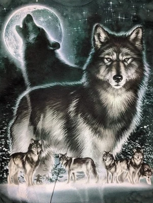 Liquid Blue 男式 T 恤绿狼包狼野生动物 XL #1805 全新无标签 — 第 1/4 张图片