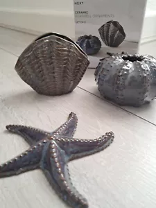 Next Blue Glaze set Of 3 Seashells Starfish Nautical Ornaments Decorative - Picture 1 of 10