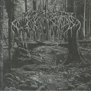WOLVES IN THE THRONE ROOM - 2005 Demo - Vinyl (black ice vinyl LP) - Picture 1 of 1