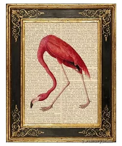 Regalos de Arte Flamenco Americano Impreso en Página de Libro Vintage Audubon Birds of America - Imagen 1 de 3
