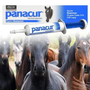25gm Panacur Equine Dewormer Paste New - Picture 1 of 9