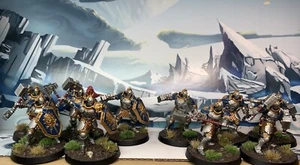 Warhammer AoS Age Of Sigmar Stormcast Eternals Liberators Painted - Picture 1 of 9