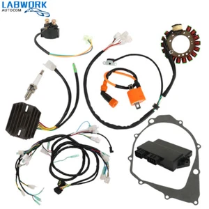 Magneto Stator+Ignition Coil+Wire Harness+CDI Kit For Yamaha Warrior 350 YFM350X - Picture 1 of 8