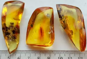 Bernstein poliert Kugel Tropfen Baltische Steine Natur Anhänger 23g Halskette 3 Stück - Bild 1 von 7
