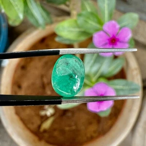 Certified Natural Colombian Emerald Untreated Loose Gemstone Oval Cut 3.20 Ct - Picture 1 of 8