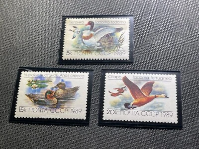 JUEGO DE 3 SELLOS DE AVES ACUÁTICAS RUSAS 1989 MOGNH Foto 1 de 4