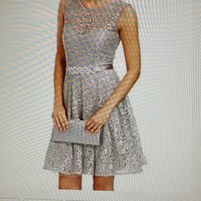 Betsy & Adam Encaje Plateado Baile de graduación Novia Ocasiones Especiales Talla 8P Foto 1 de 4