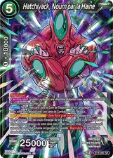 BT8-090 Hatchiyack, Nourri par la Haine