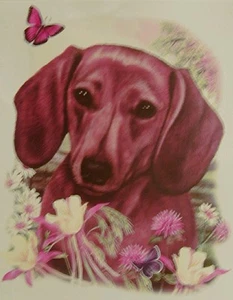 DOG BREEDS / FLOWERS & BUTTERFLIES DASHUNDS SHIRT - Foto 1 di 5