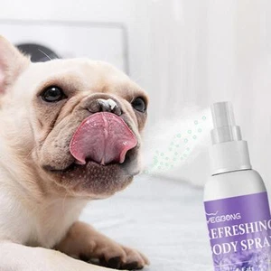 Professional Dog Spray 50ml - Grooming Spray - Deodorant Perfume D7U1 Hot J9M6 - Picture 1 of 8