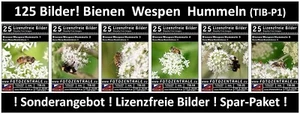 125 Lizenzfreie Profi-Bilder - Bienen Wespen Hummeln - (Royalty Free) UVP 89,- - Bild 1 von 7