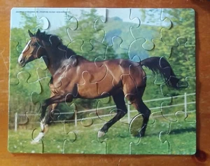 Greenbrier International Horse Puzzle 24 Pieces Preschool Used NO BOX Ages 3+ - Picture 1 of 2