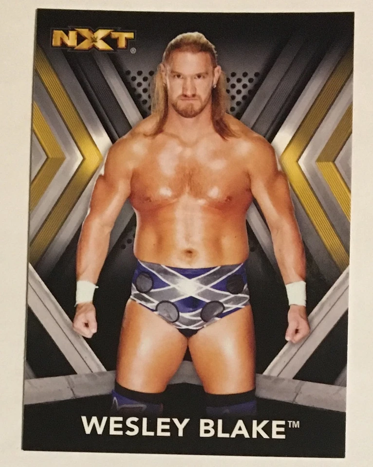 WESLEY BLAKE, WWE "NXT", 2017 TOPPS CARD, GREAT ! EXCELLENT CONDITION !!! - Image 1 of 1