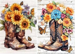 2 Packs Diamond Art Painting Kits for Adults,Cowboy Boots Diamond Painting Kits - Picture 1 of 7