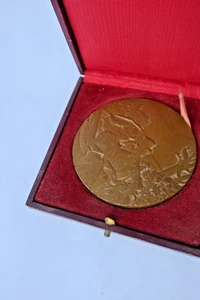 TOULET Paul Jean  Médaille bronze 67 mm. signée Mérelle - Imagen 1 de 4