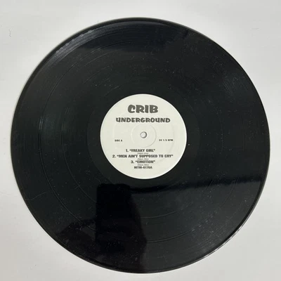 Crib Underground - Shaggy - Public Announcement - Destiny's Child - Avant Foto 1 de 4