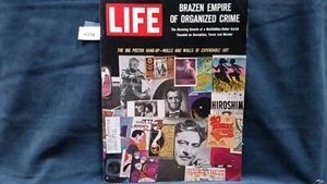 Magazine LIFE 1967 COVER WALLS AND WALLS OF EXPENDABLE ART - Picture 1 of 2