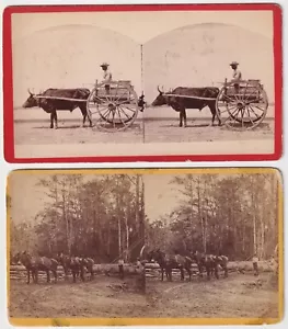 African-American Aunt Chloe Driving Wagon : O Pierre Havens Savannah GA 1880s SV - Picture 1 of 4