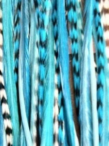 Range From 4-6 Blue with Turquoise with Best Quality Salon Feathers for Hair Ext - Image 1 of 1