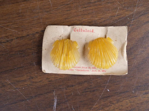 Antique Buttons Sea Shell Realistic Celluloid Cover