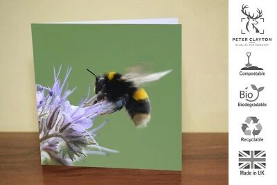 Eco Friendly Blank Greeting Card: Bumblebee Bee Insect | Nature | Wildlife - Image 1 of 4