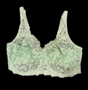 NWOT Woman Within Embroidered Lace Mesh Full Coverage Satin Back Bra 44DDD - Picture 1 of 9