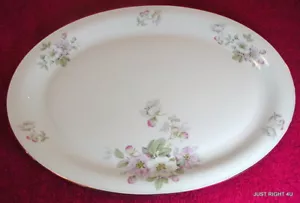 PT Tirschenreuth (Apple Blossom - White) 15 3/4" OVAL PLATTER Exc - Picture 1 of 3