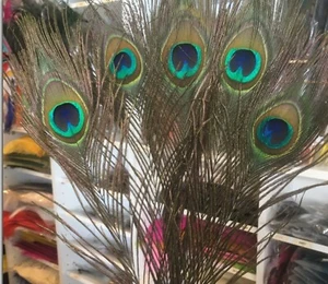5pcs Natural Peacock Eye Feathers 24-28cm DIY Craft Millinery Vase Decor Costume - Picture 1 of 4