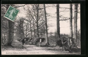 AK Château-la-Vallière, La Grande Allée 1908 - Bild 1 von 2