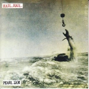PEARL JAM Hail, Hail PICTURE SLEEVE 7" 45 rpm vinyl record BRAND NEW SEALED - Picture 1 of 2