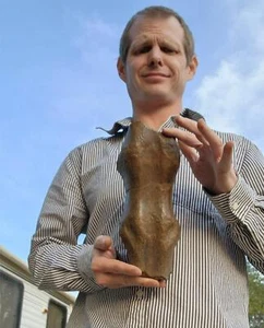 Triceratops Sacrum Vertebra - Dinosaur Fossil - Hell Creek Formation Cretaceous - Picture 1 of 8