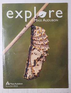Summer 2023 Issue of EXPLORE (Massachusetts Audubon newsletter) - Piping Plovers - Picture 1 of 2