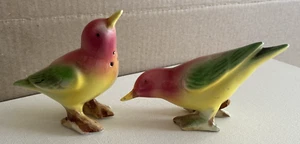 Shaker sale e pepe vintage Relco Japan rosa verde giallo brids Giappone RARO - Foto 1 di 7