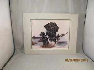 Joanne Graham Art Labrador cane da caccia numerato firmato anatra 31/500 opaco - Foto 1 di 5