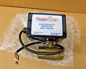New DynaQuip WaterCop Electric Ball Valve 46Z634 - Imagen 1 de 7