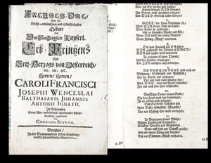 1685 Festschrift auf die Geburt von Karl VI. Severus Freuden-Ode - Bild 1 von 1