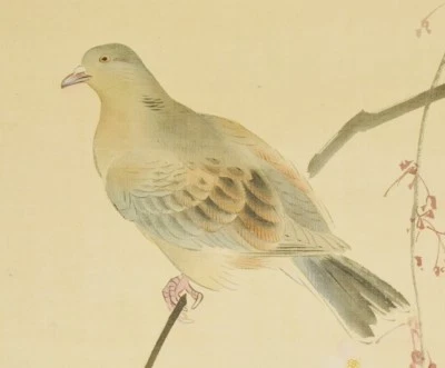 PINTURA JAPONESA PALOMA COLGANTE ROLLO 70" ARTE Imagen DE COLECCIÓN Japón Antiguo b861 Foto 1 de 4