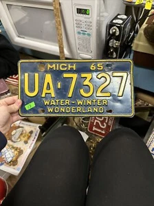 1965 Michigan License Plate UA-7327 Water-Winter Wonderland - Picture 1 of 20