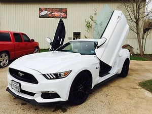 Kit de puertas verticales Ford Mustang 2015-2021 inc. atornillado a puerta cordero - ¡Envío hoy! - Imagen 1 de 6