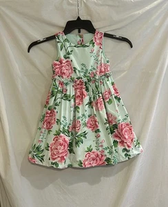 Gymboree Girls Size 4T Green Floral Fit & Flare Formal Dress Time for Tea - Picture 1 of 9